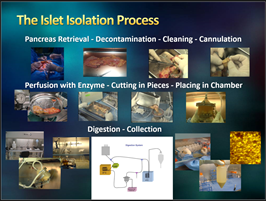 Islet Workshop Part 1